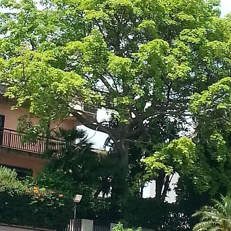 Porto Ulisse לינה וארוחת בוקר קטאניה